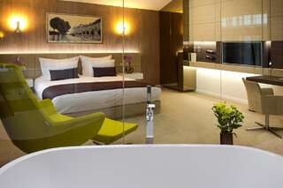 Отель Hotel Vila Class Сату-Маре Двухместный номер Делюкс «Премиум Класс» с 1 кроватью-3