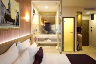 Отель Hotel Vila Class Сату-Маре Двухместный номер бизнес-класса с 1 кроватью-1