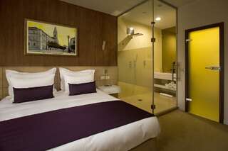 Отель Hotel Vila Class Сату-Маре Двухместный номер бизнес-класса с 1 кроватью-4